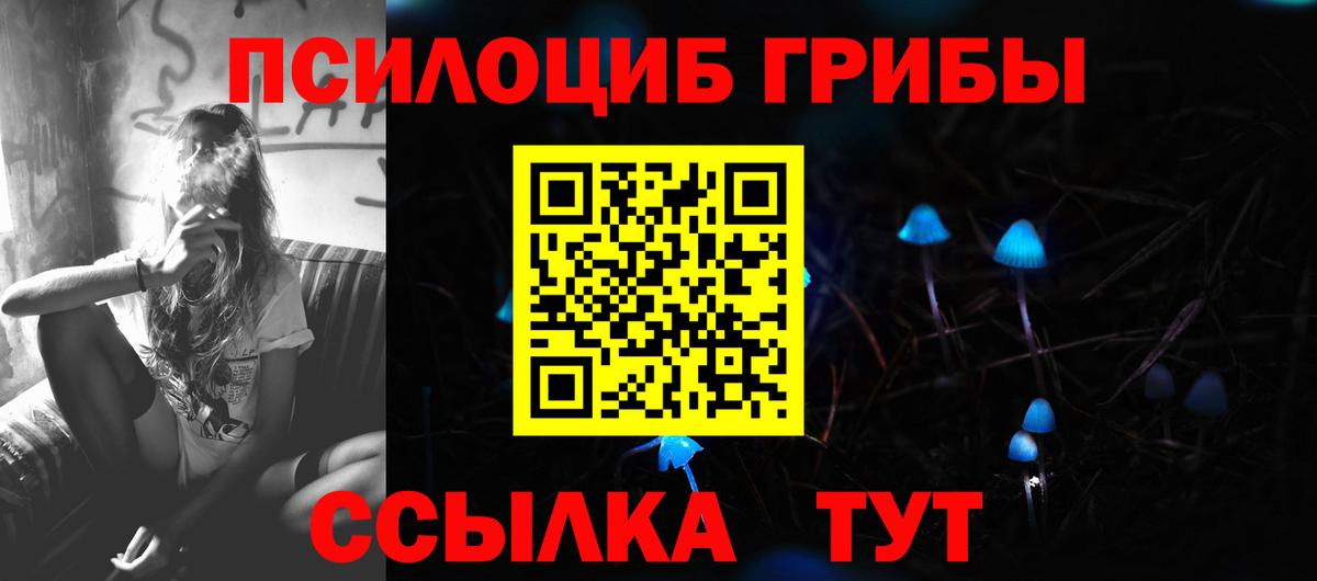 Галлюциногенные грибы Cubensis  купить наркотик  Нурлат  Вход с VPN 